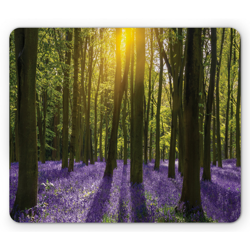 Bluebell Blossoms Mouse Pad