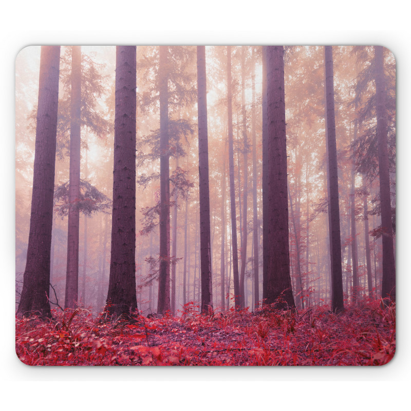 Trees Foggy Sunlight Mouse Pad