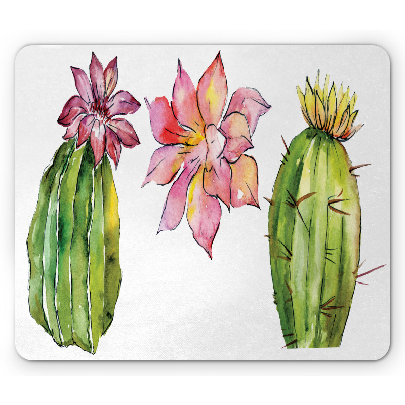 Succulents Mouse Pad