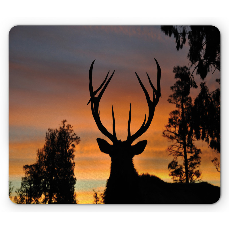 Island New Zealand Mouse Pad