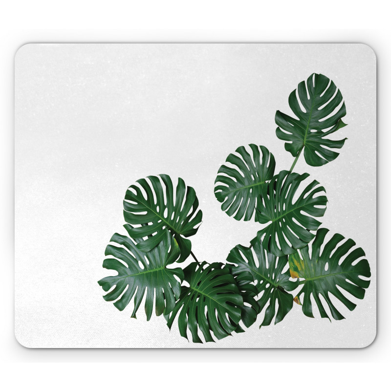 Monstera Deliciosa Mouse Pad