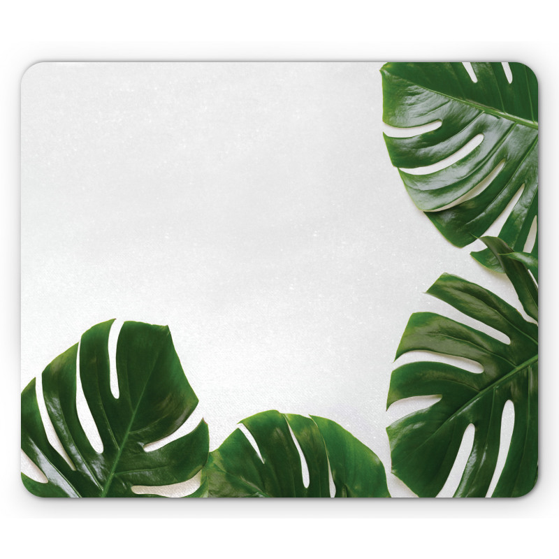 Swiss Cheese Plant Mouse Pad