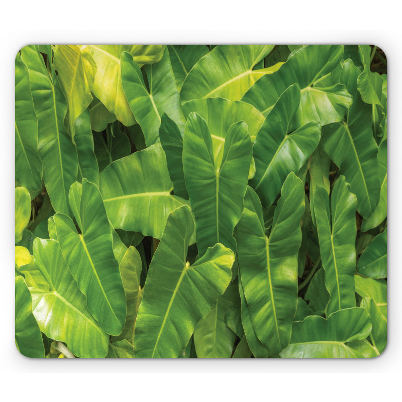 Photo of Tropic Botany Mouse Pad