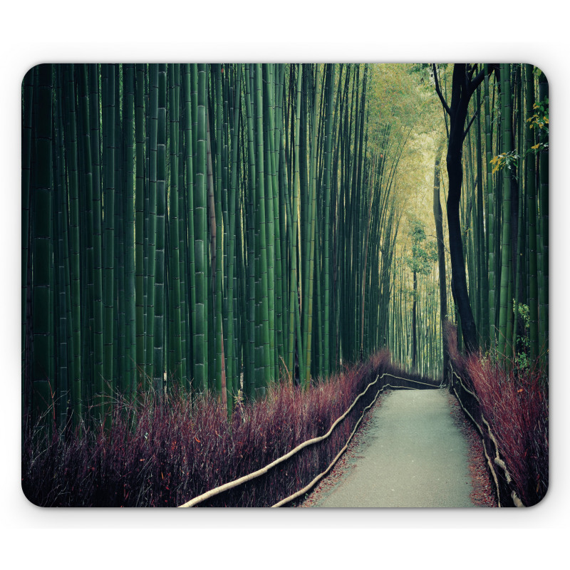 Bamboo Grove in Arashiyama Mouse Pad