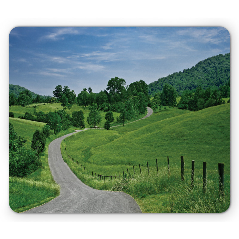 Idyllic Road Forest Mouse Pad