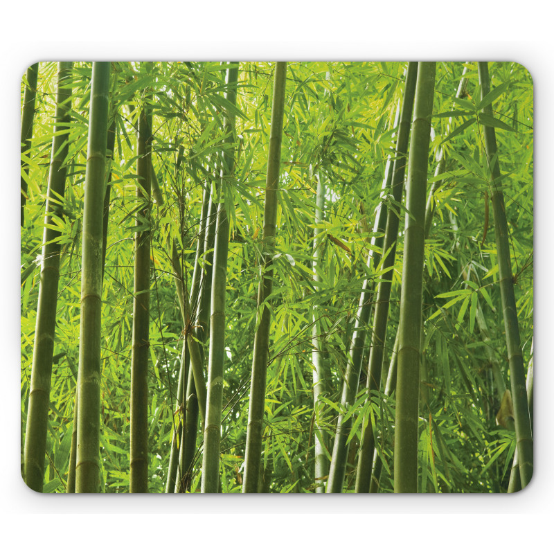 Exotic Tropical Bamboo Mouse Pad