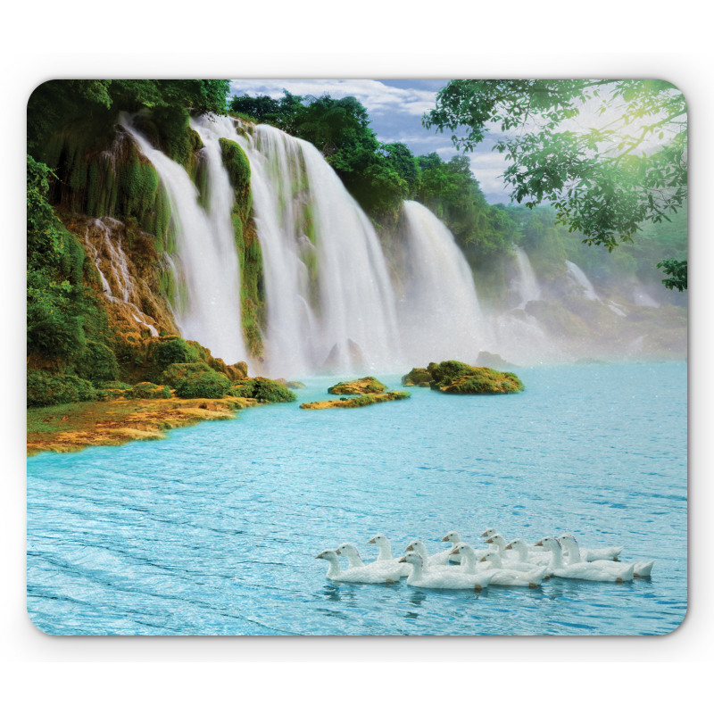 Lake and Swans Nature Mouse Pad