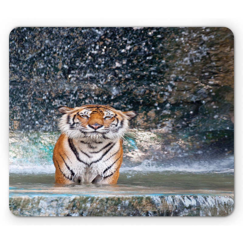 Exotic Wildlife Nature Mouse Pad