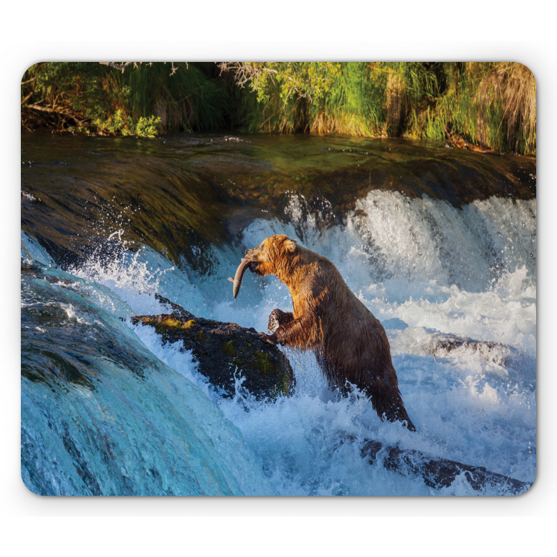 Alaska Waterfall Wildlfie Mouse Pad