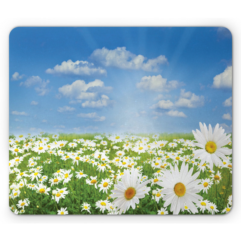 Daisy Spring Meadow Mouse Pad