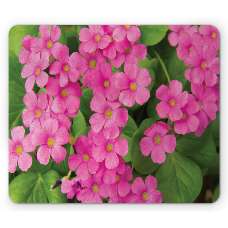 Pinkish Flower and Leaves Mouse Pad