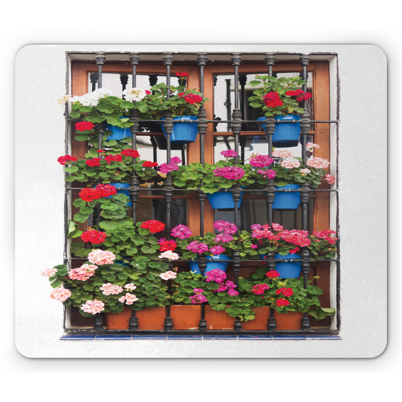 Flower Pots on Old Window Mouse Pad