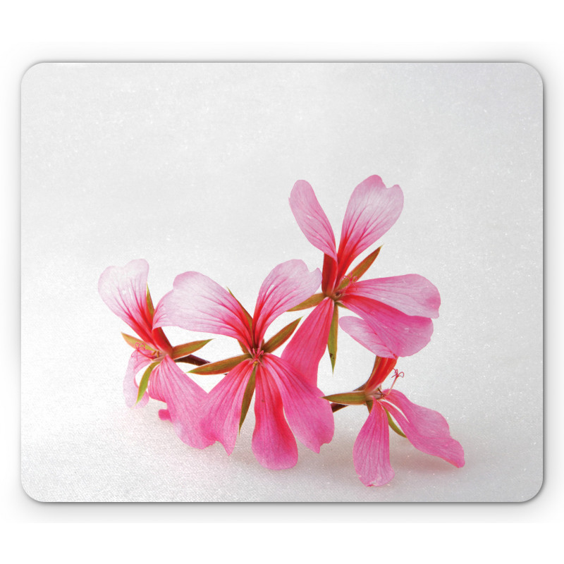 Summer Flower Blossoms Mouse Pad