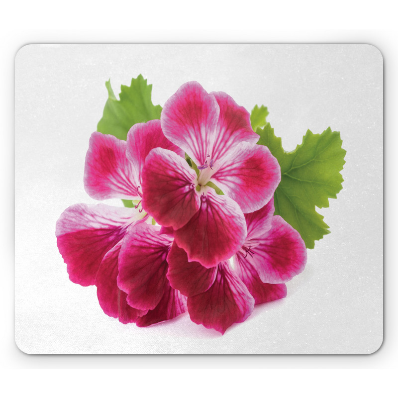 Single Flower Close Up Mouse Pad