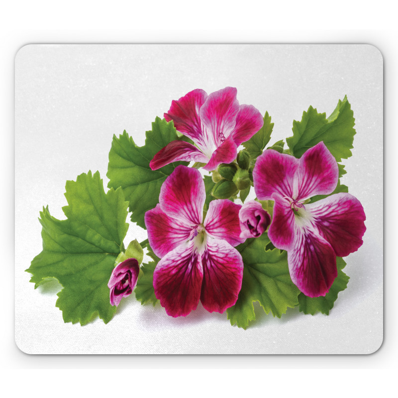 Real Photo of Flowers Mouse Pad