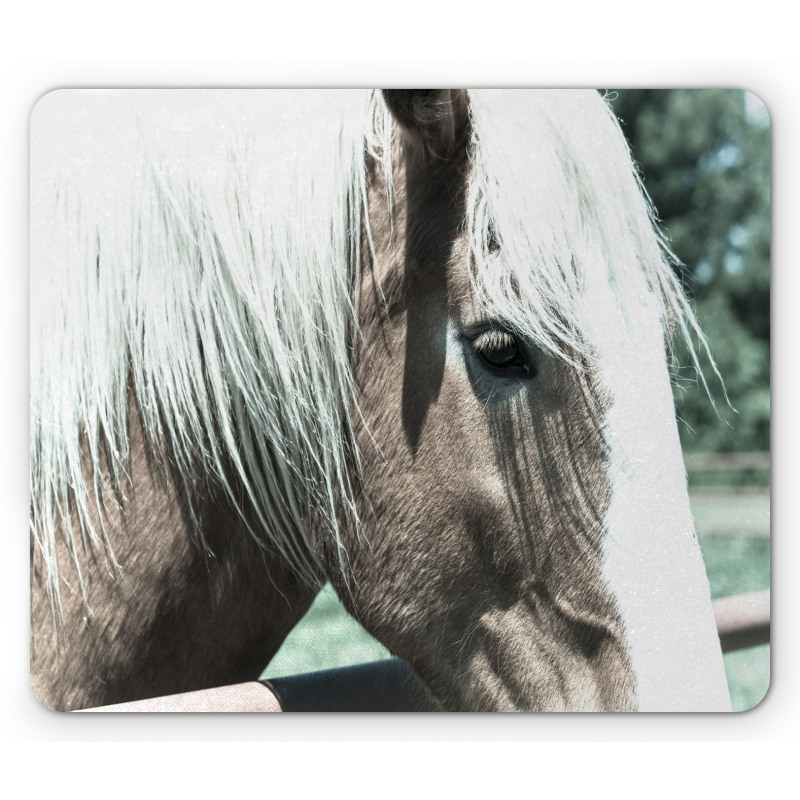 Draft Horse from Netherlands Mouse Pad