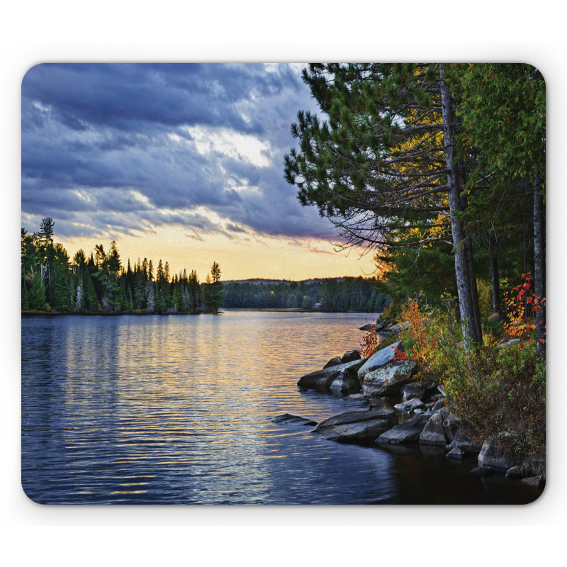 Real Life Forest Photo Mouse Pad