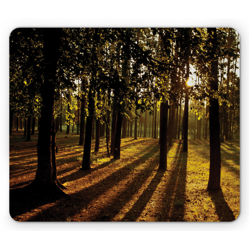 Summertime Forest Tree Mouse Pad