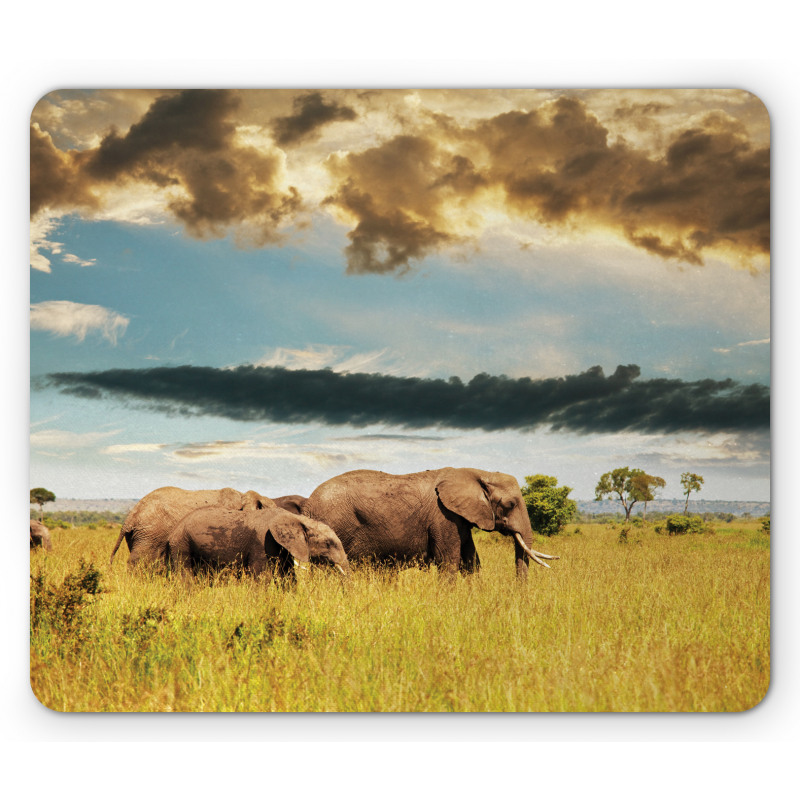 Elephant Family Photo Mouse Pad