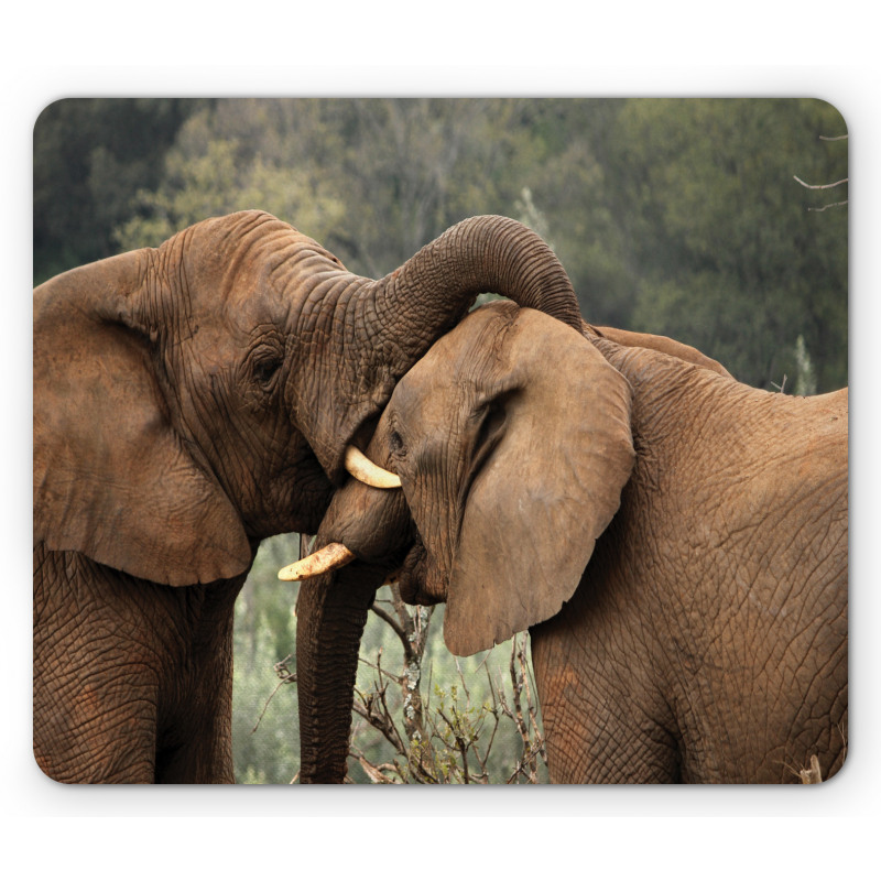 Safari Animals Savanna Mouse Pad