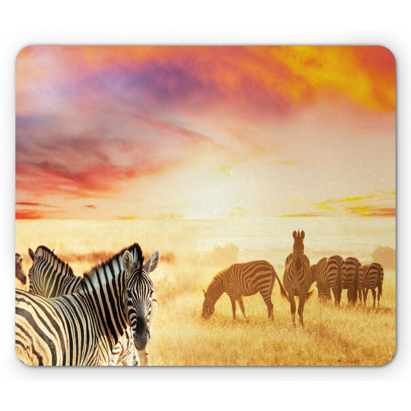 South Wild Zebra Mouse Pad