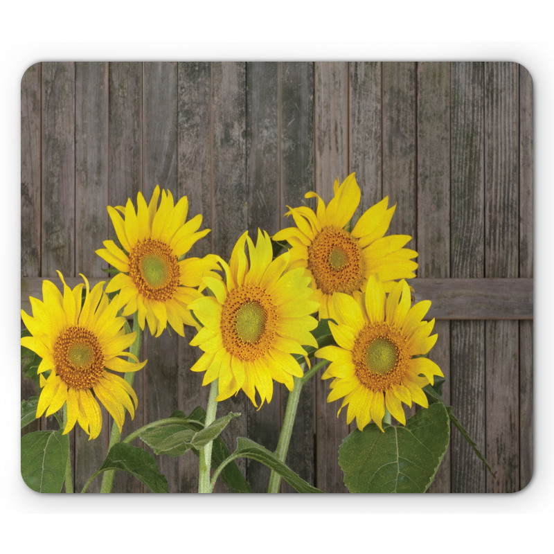 Helianthus Sunflowers Mouse Pad