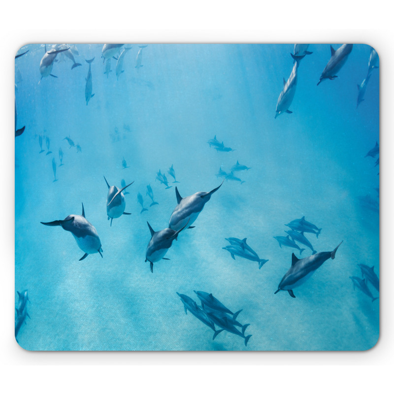 Dolphins Hawaii Ocean Mouse Pad