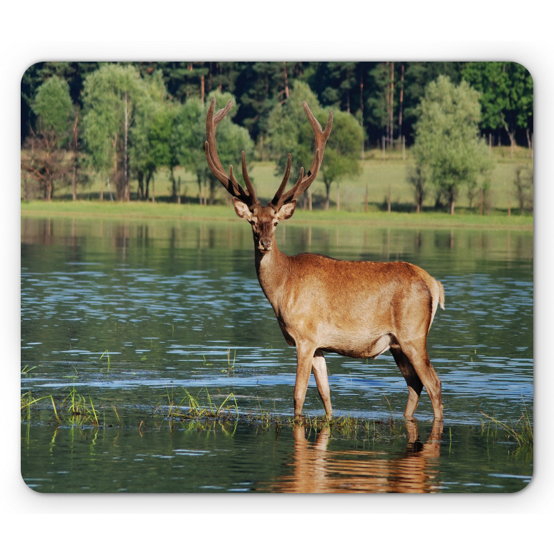 Mountain Animal in Water Mouse Pad