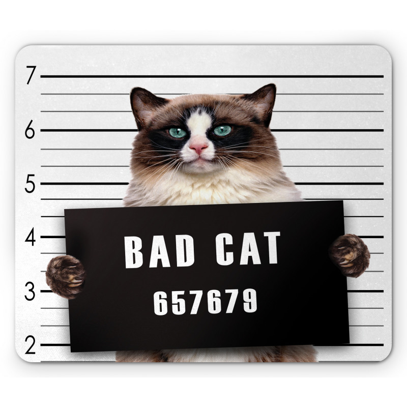 Jail Kitty Under Arrest Mouse Pad