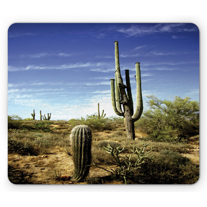 Cactus Spined Leaves Mouse Pad