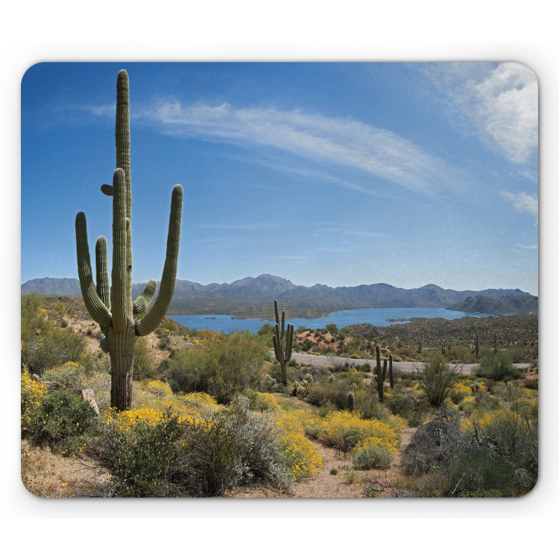 Cactus on the Valley Mouse Pad