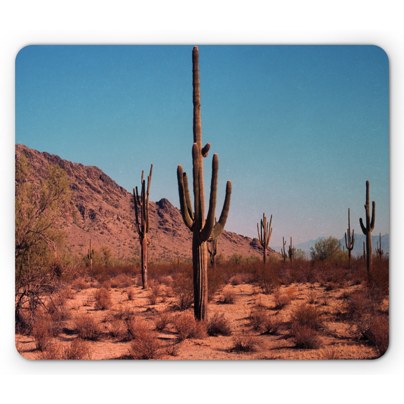 Spines Hardy Plants Mouse Pad