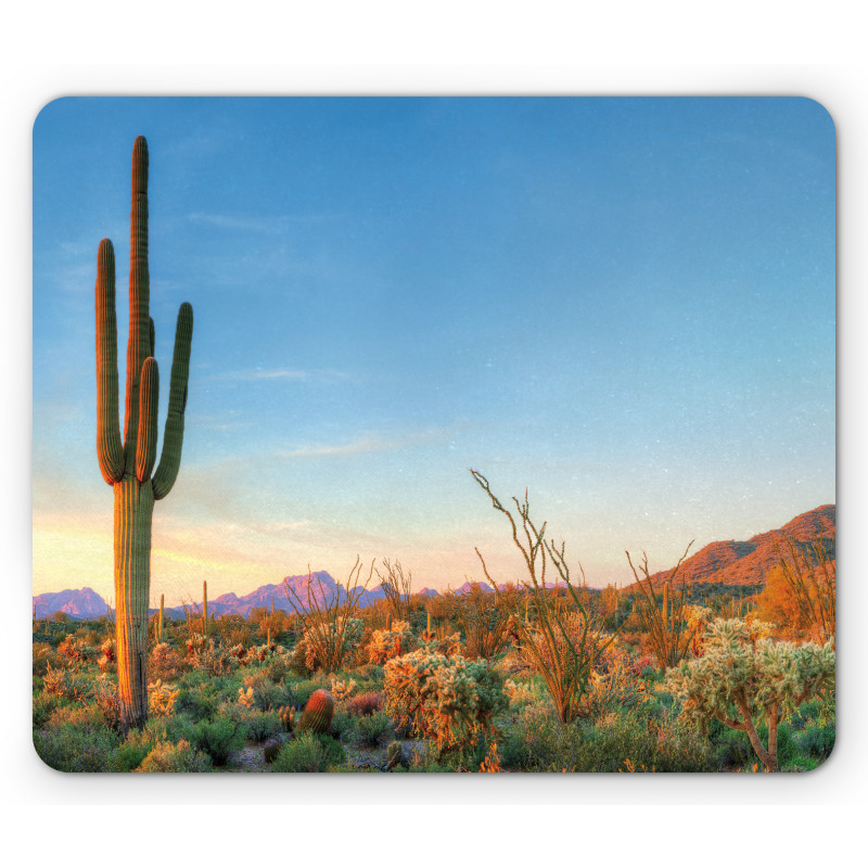 Sun in Desert Cactus Mouse Pad