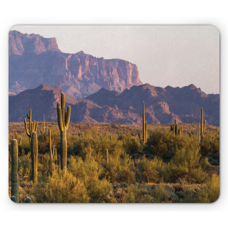 Cactus Mountain in Spring Mouse Pad