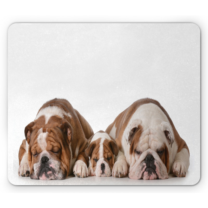 Image of 3 Generations Dogs Mouse Pad