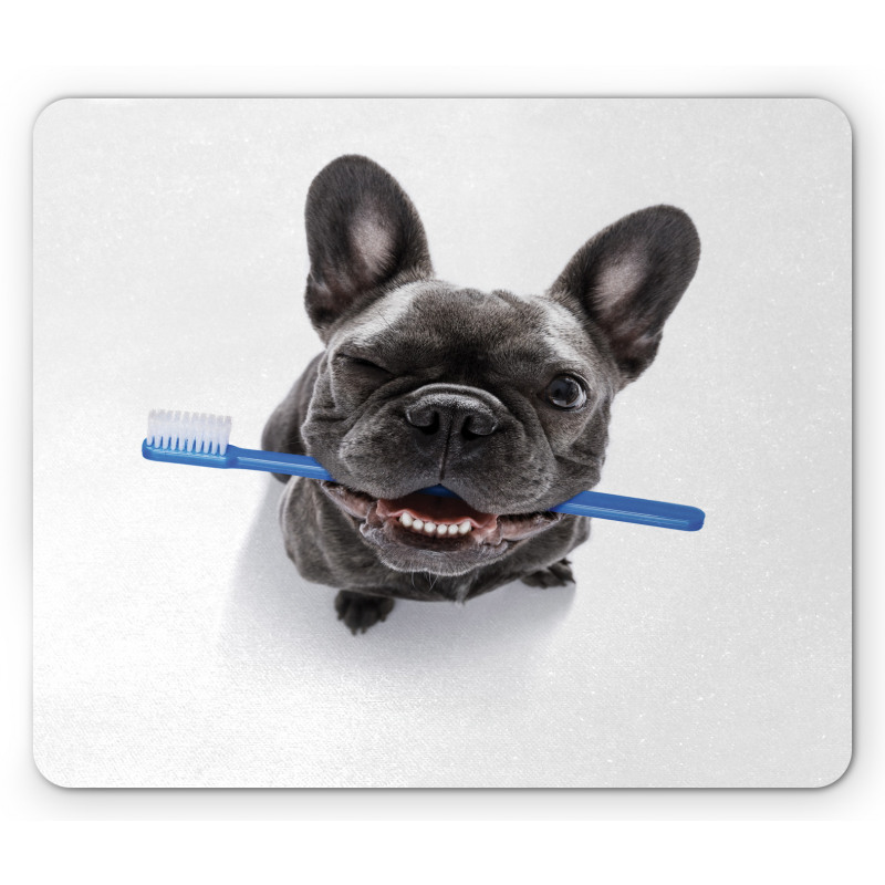 Funny Dog with Toothbrush Mouse Pad