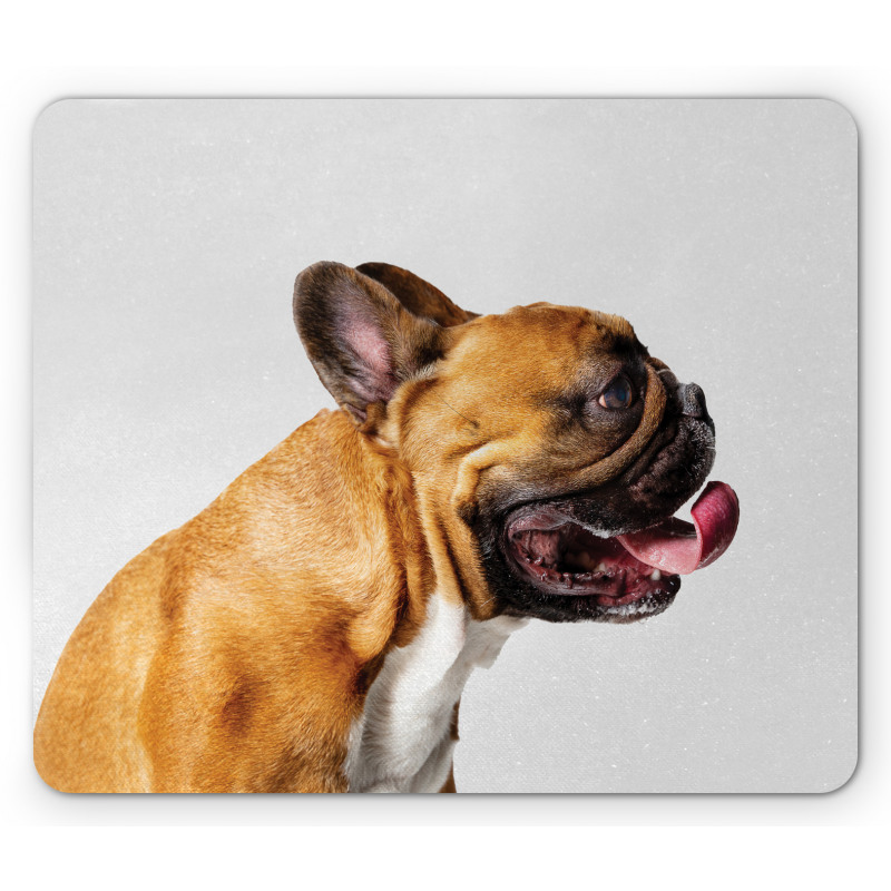 Young Pet Posing Side Shot Mouse Pad