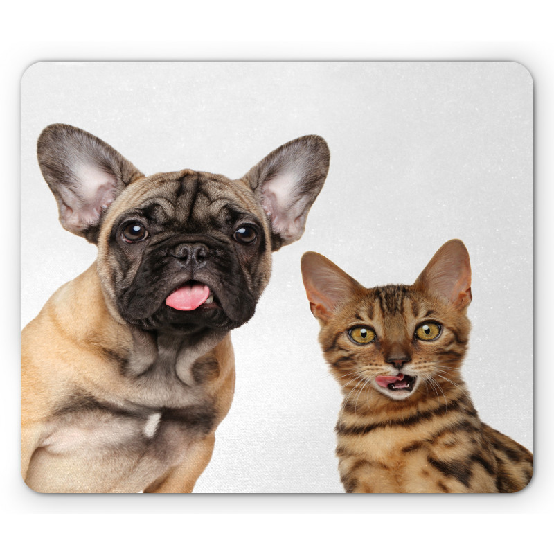 Cat and Dog Shocked Staring Mouse Pad