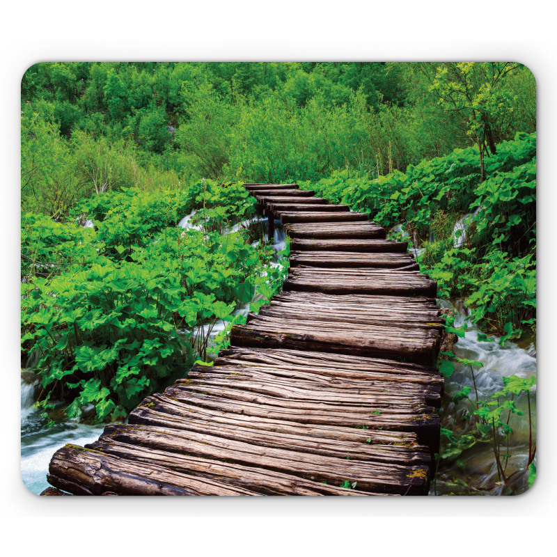 Pathway Stream Jungle Mouse Pad