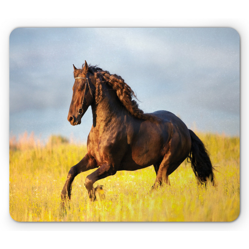 Meadow Mystery Horse Mouse Pad