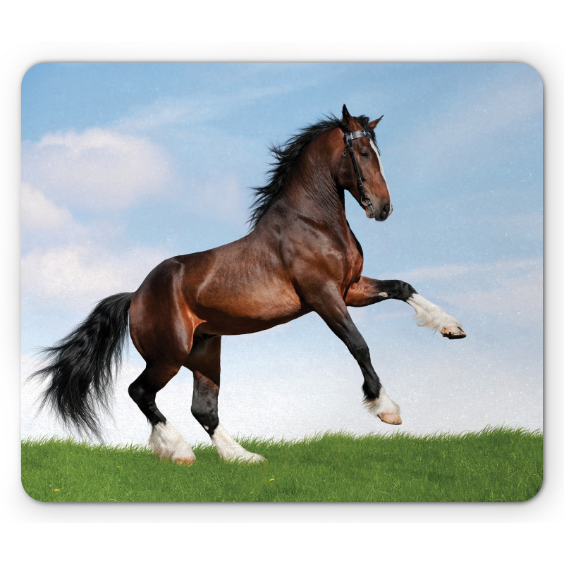 Horse Pacing on Grass Mouse Pad