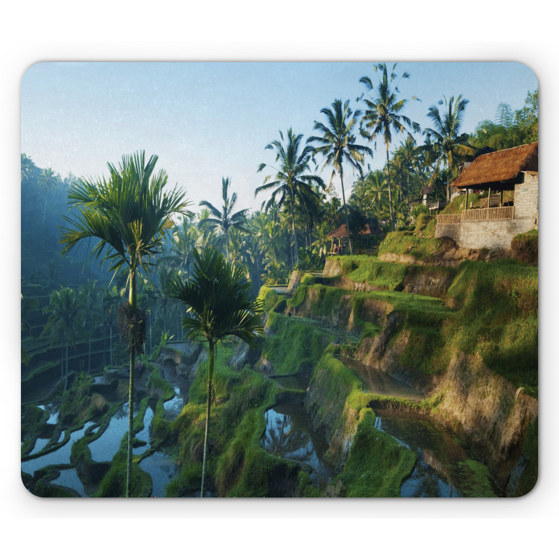 Palm Trees Morning Mouse Pad