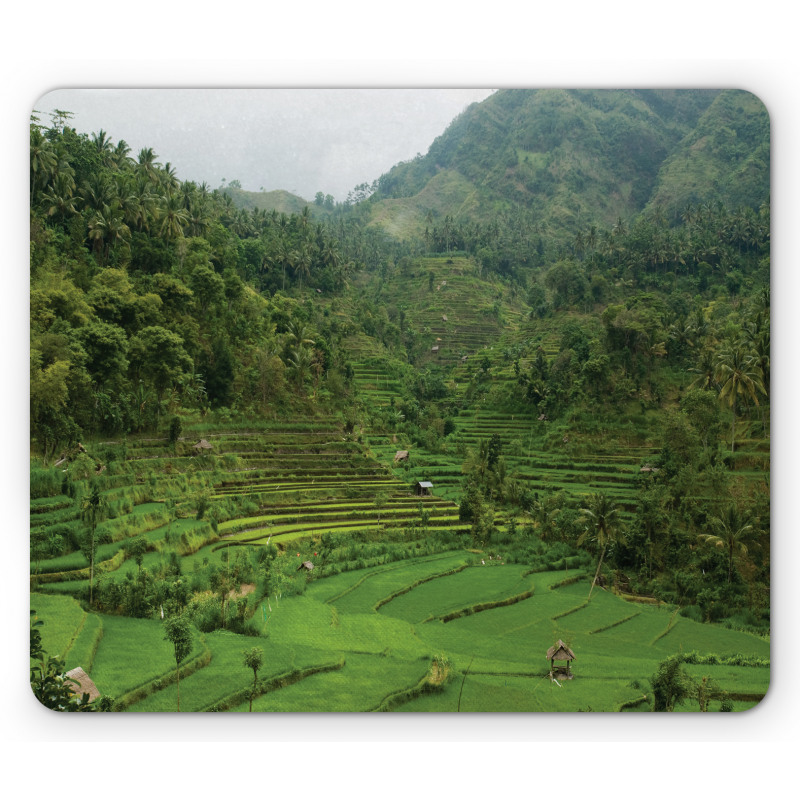 Rice Paddies Mouse Pad