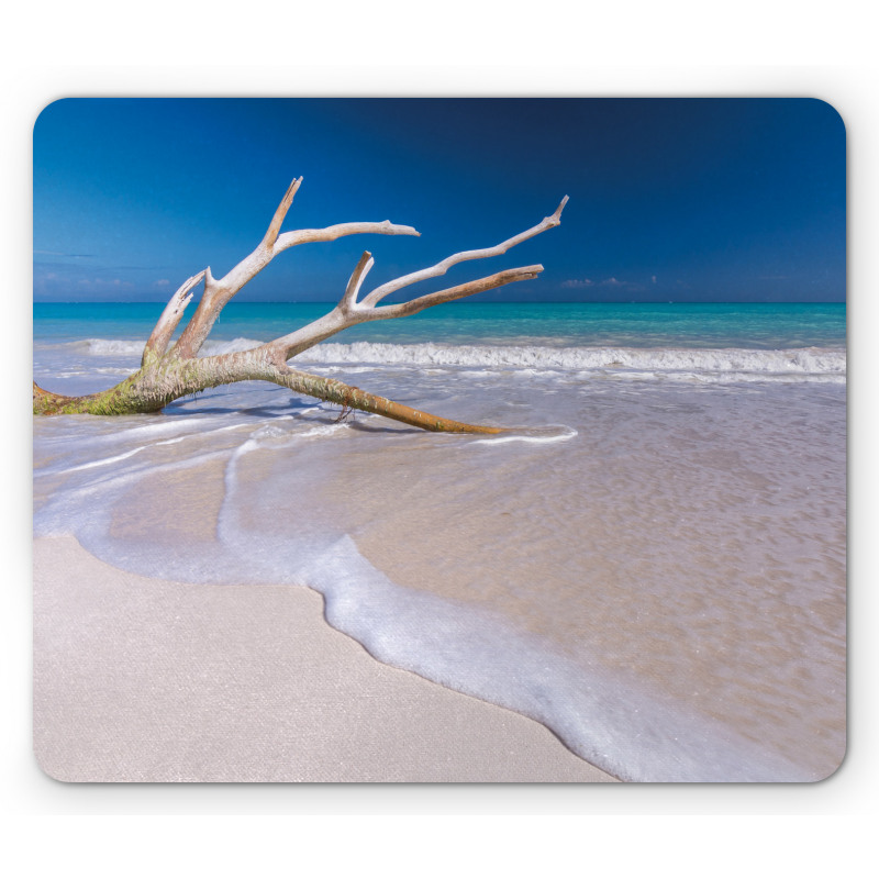 Algae Covered Tree Branch Mouse Pad