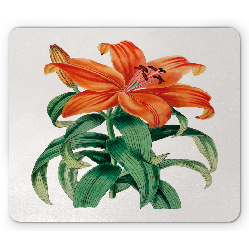 Thunberg's Lily Art Mouse Pad