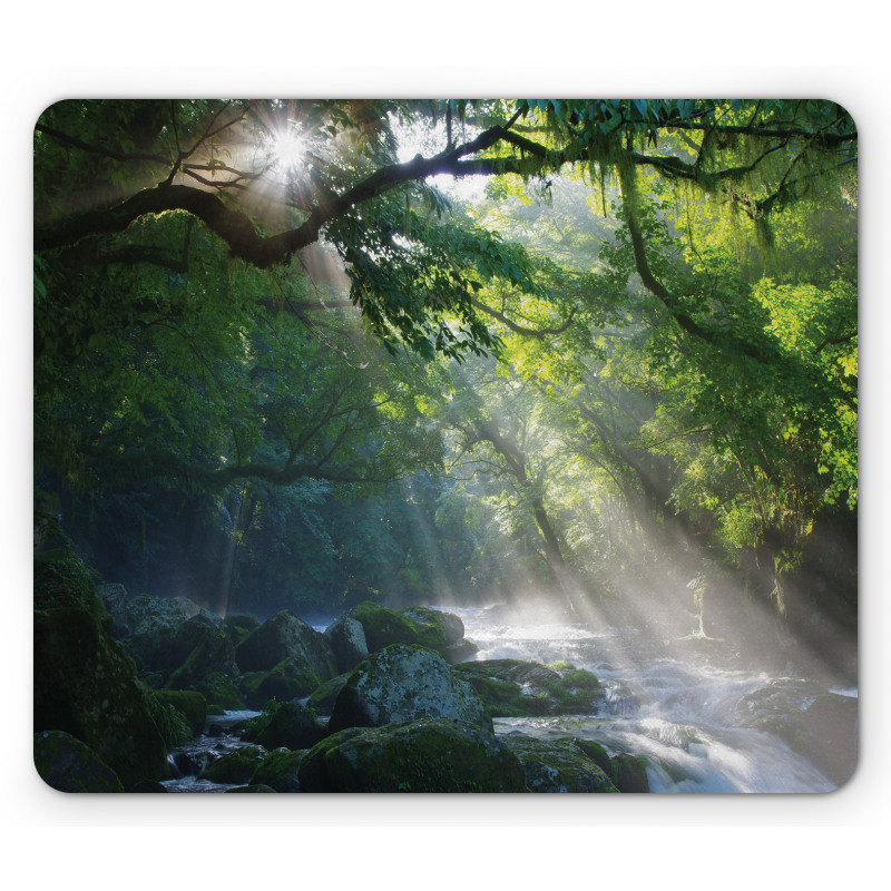 Jungle Sunlight Trees Mouse Pad