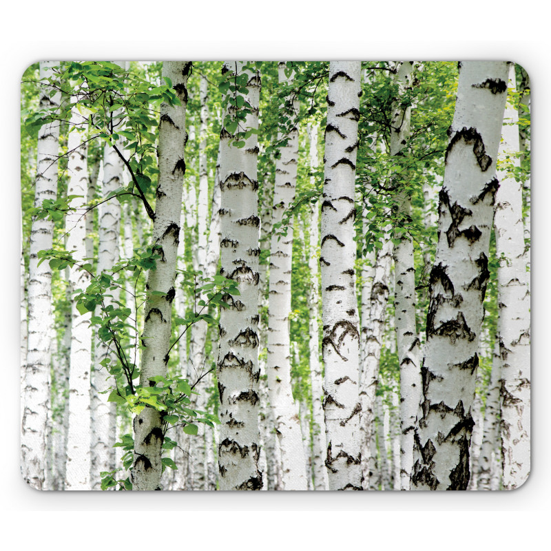 Wildlife Nature Summer Mouse Pad