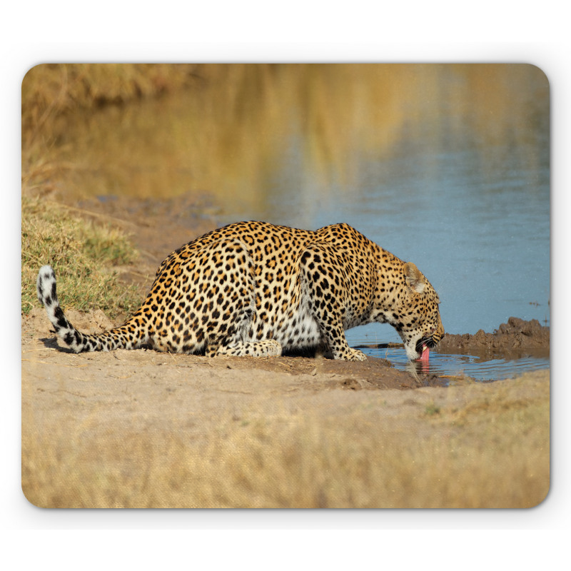Leopard in Safari Mouse Pad