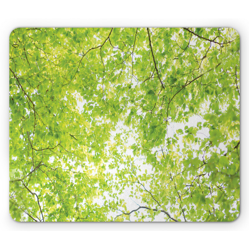Nature Summertime Green Mouse Pad