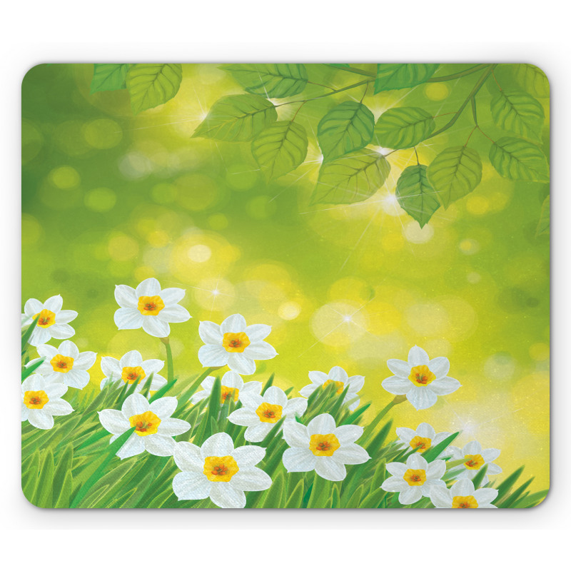 Daffodils Spring Petals Mouse Pad